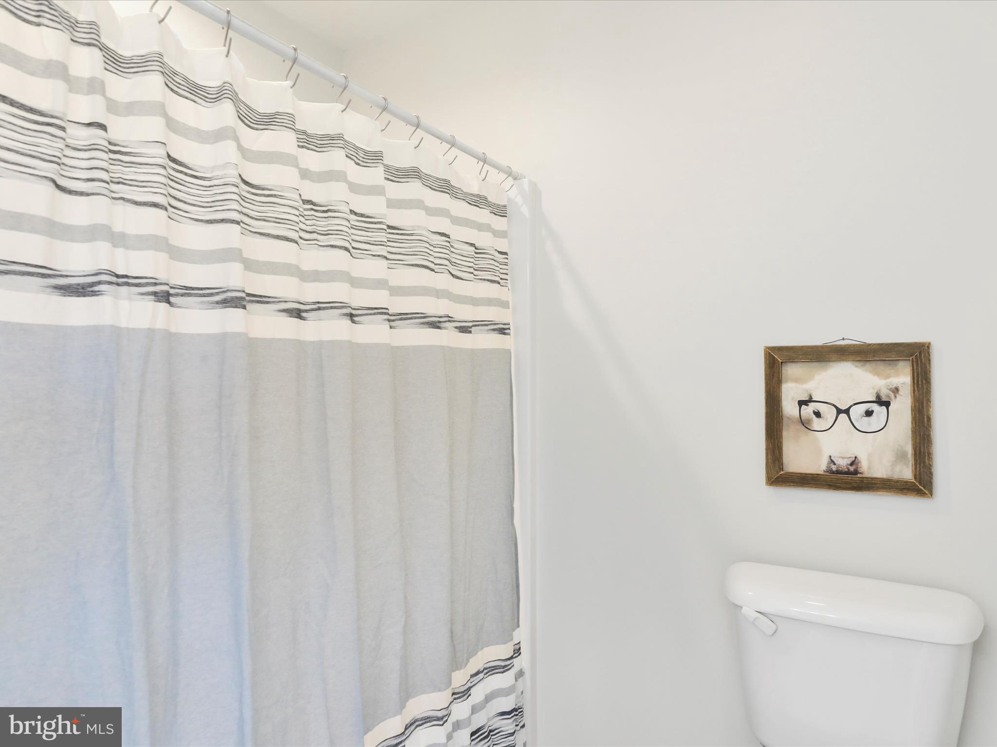 3745 Taneytown Road Gettysburg, PA 17325 - Photo 26 of 87 a bathroom with a toilet and a shower curtain