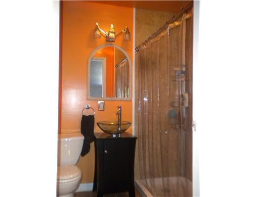 444 Dalton Avenue Rochester, PA 15074 - Photo 12 of 18 Master Bath/Spa.