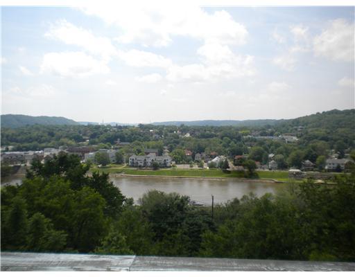 444 Dalton Avenue Rochester, PA 15074 - Photo 9 of 18 Exterior Front. From the Master Bedroom Balcony.....What a view!!!!
