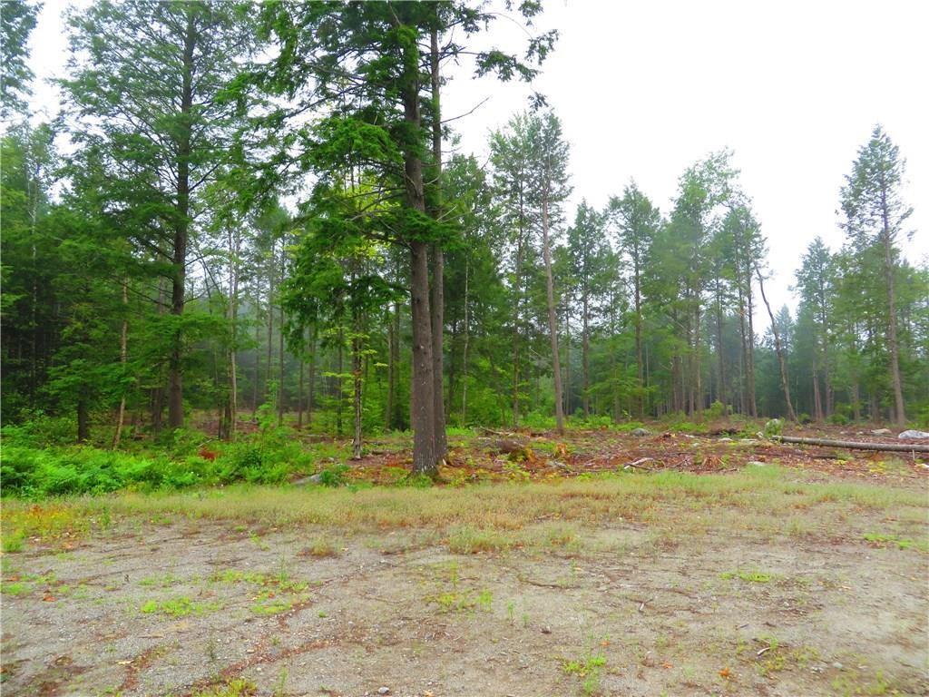 1 Castle Island Road Belgrade, ME 04917 - Photo 5 of 14 Photo