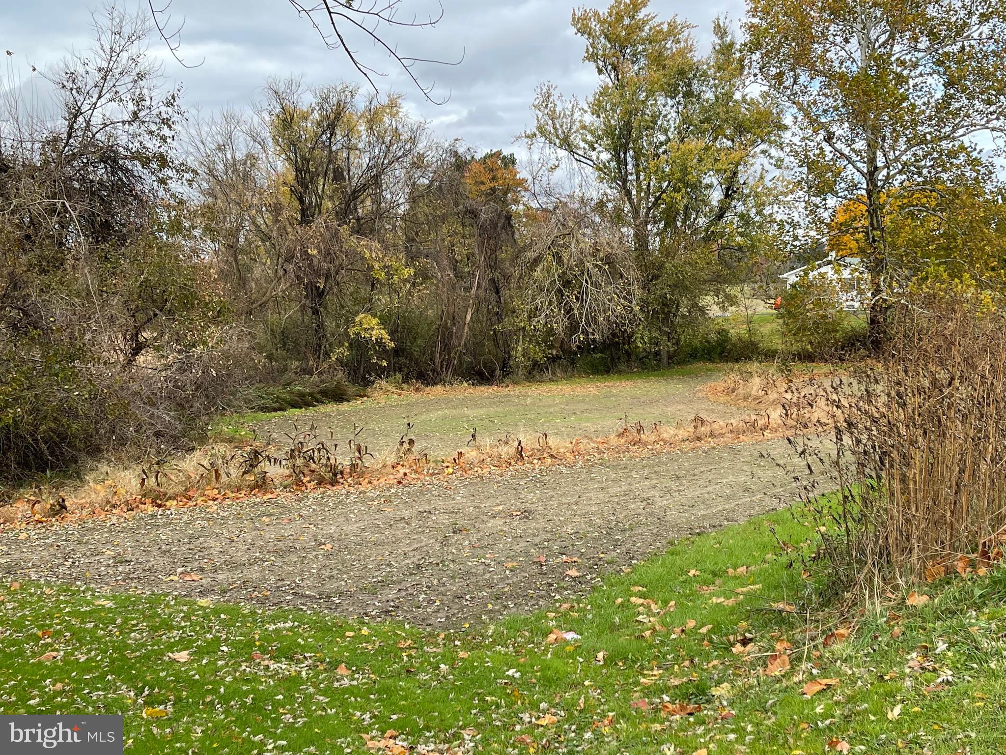 Lot 7.04 Eldridges Hill Road Woodstown, NJ 08098 - Photo 2 of 8