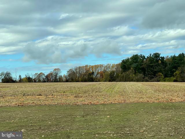 Lot 7.04 Eldridges Hill Road Woodstown, NJ 08098 - Photo 3 of 8