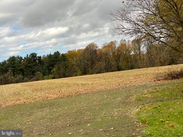 Lot 7.04 Eldridges Hill Road Woodstown, NJ 08098 - Photo 6 of 8