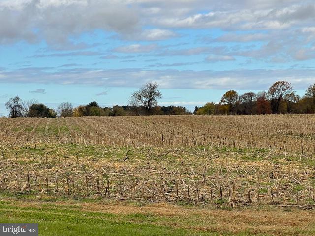 Lot 7.04 Eldridges Hill Road Woodstown, NJ 08098 - Photo 8 of 8