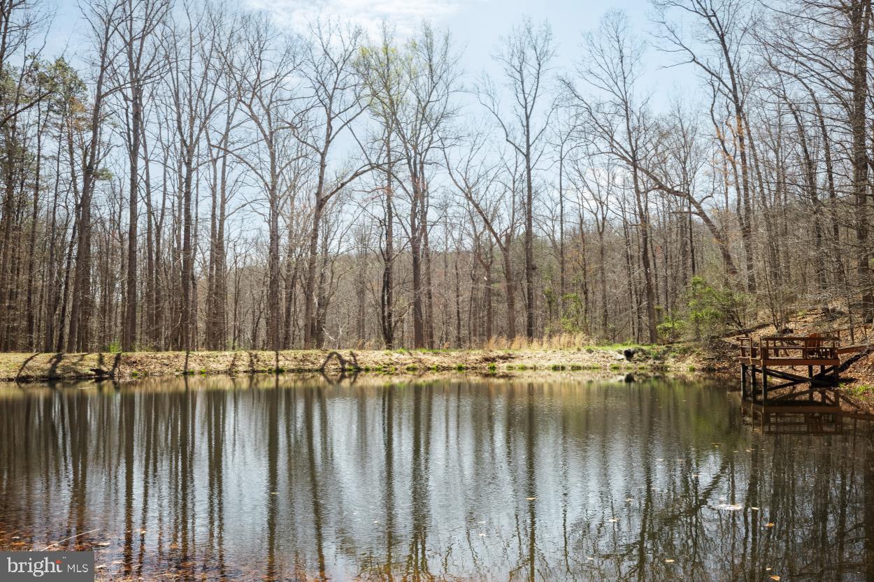 5930 Wilson Road Marshall, VA 20115 - Photo 37 of 46 a view of swimming pool with a yard and large trees