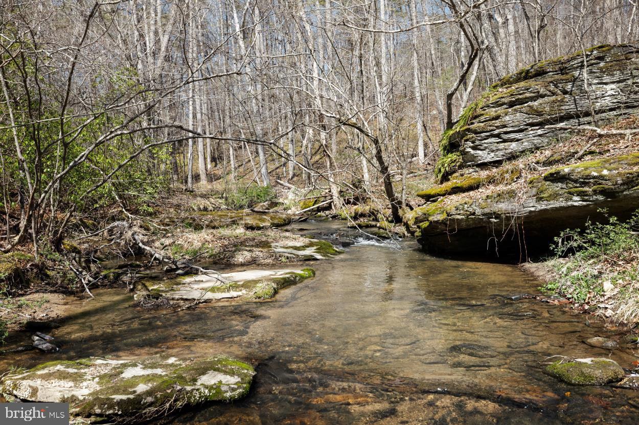 5930 Wilson Road Marshall, VA 20115 - Photo 38 of 46 a view of outside space
