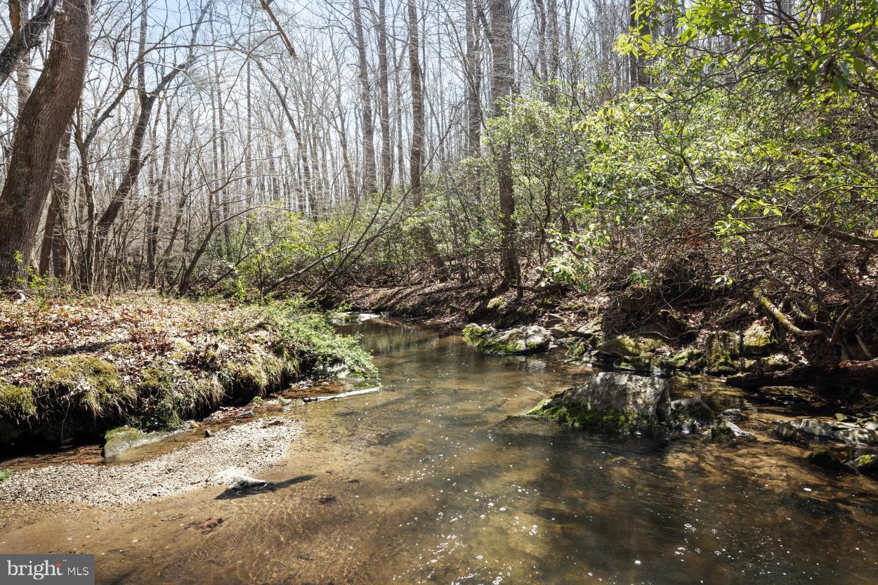 5930 Wilson Road Marshall, VA 20115 - Photo 40 of 46