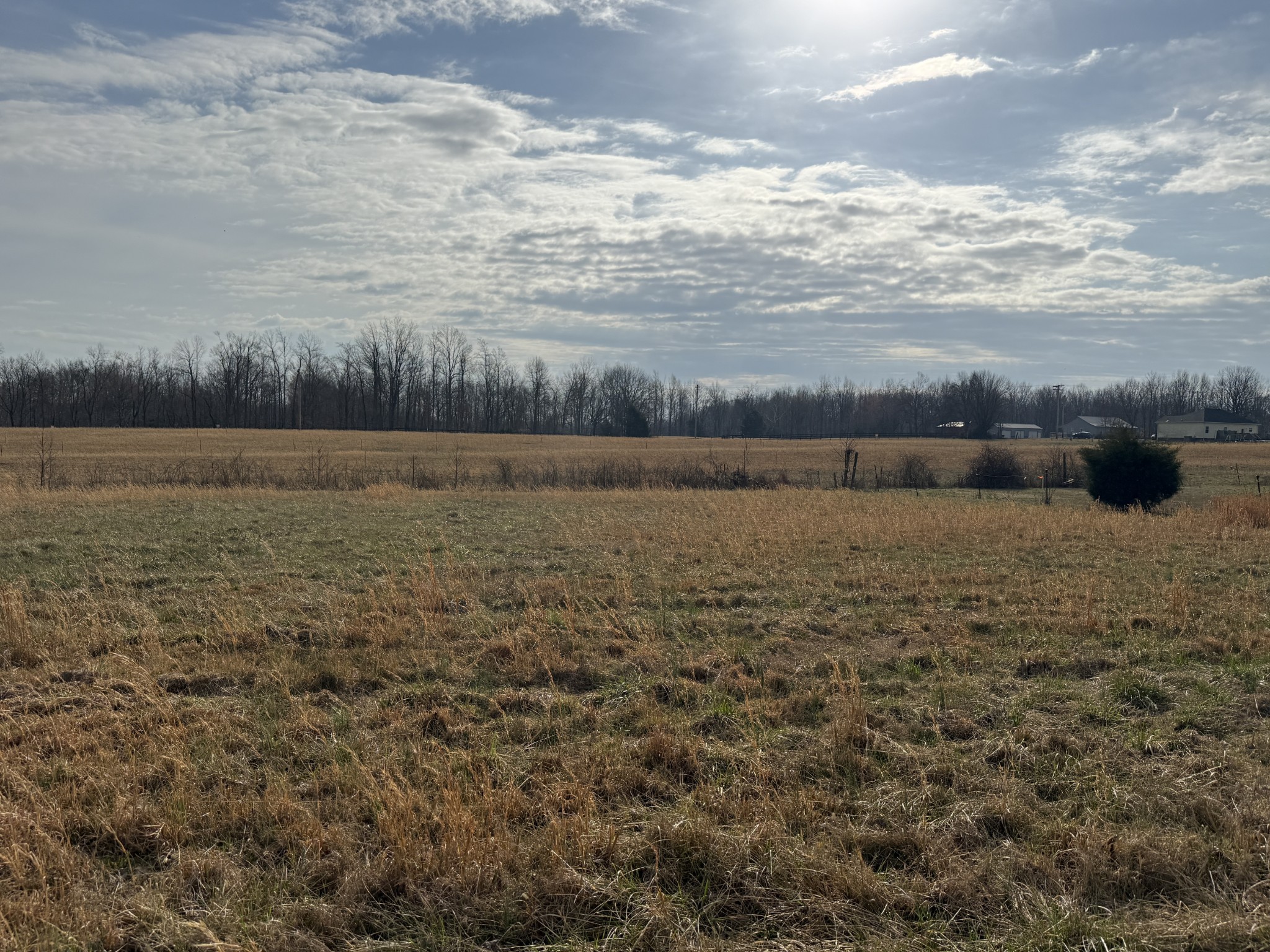771 Mt Vernon Road Bethpage, TN 37022 - Photo 4 of 5 Gallery Image 4