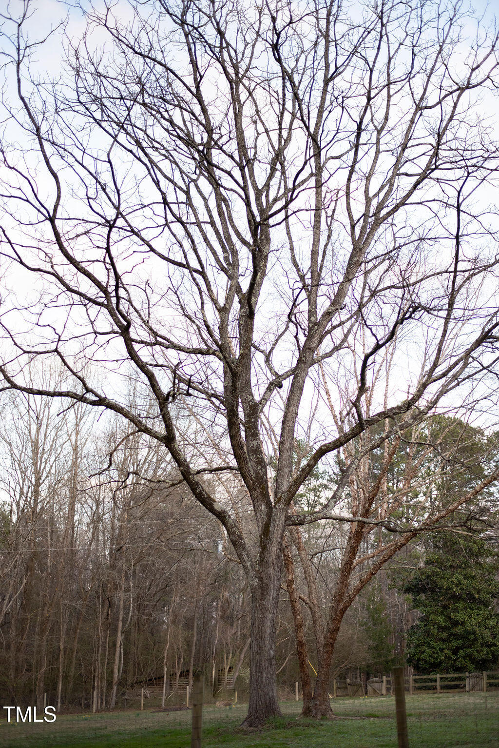 8717 Allison Road Cedar Grove, NC 27231 - Photo 72 of 86 DSC_2724