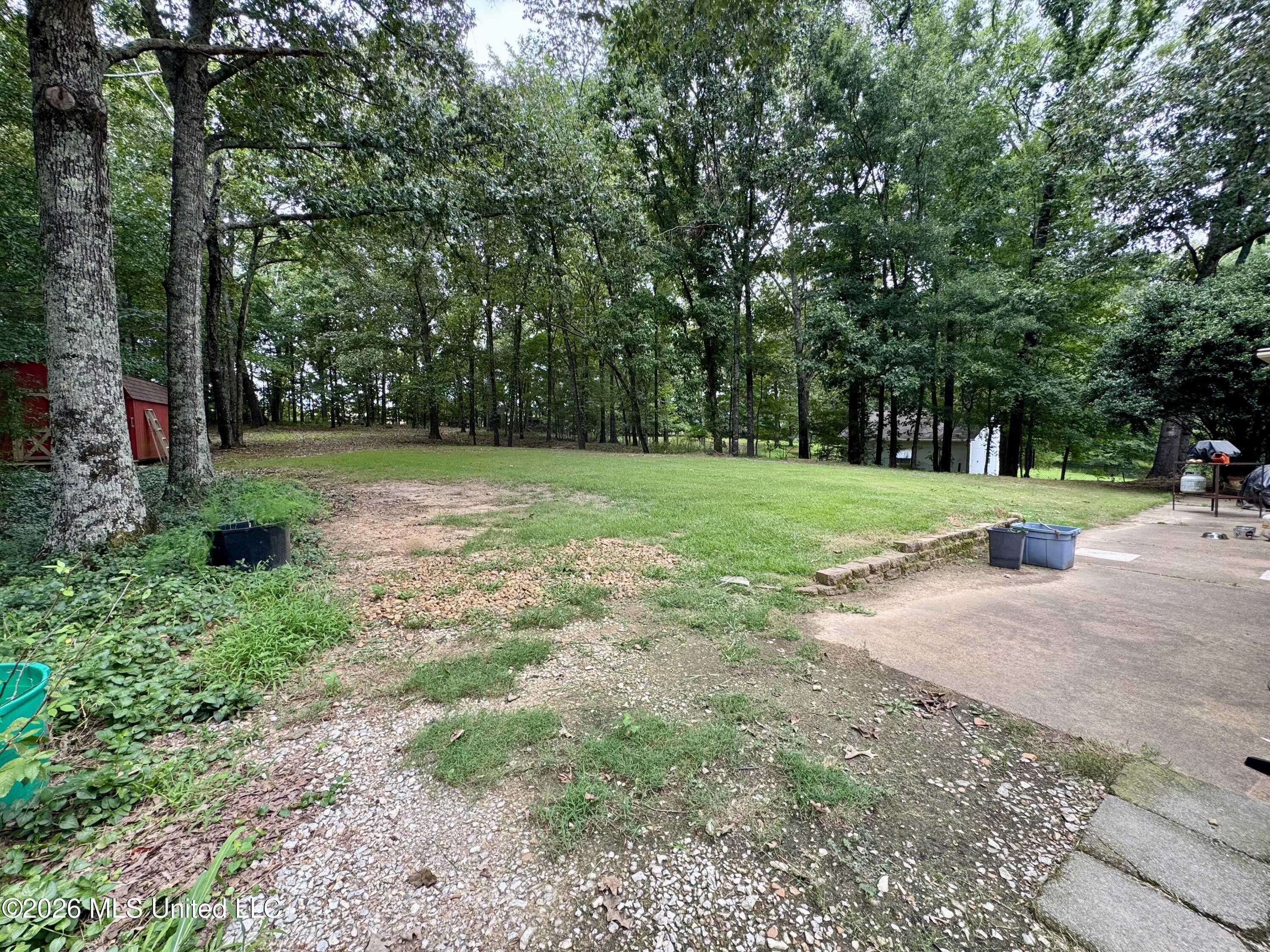 4755 Alexander Road Olive Branch, MS 38654 - Photo 26 of 32 IMG_9190