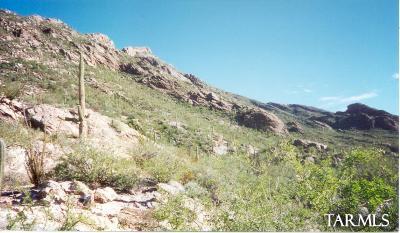 0 West Ina Road Tucson, AZ 85718 - Photo 4 of 8
