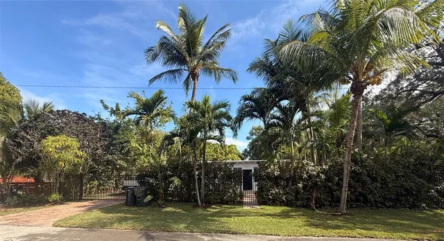 a view of a yard with plants