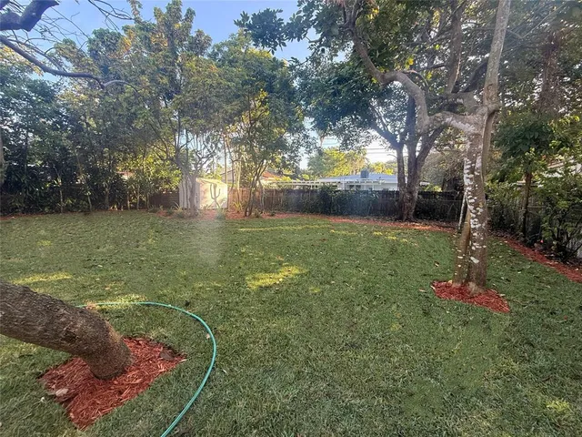 a view of a trees with a yard
