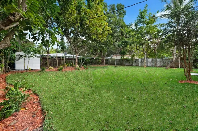 a view of a park with large trees