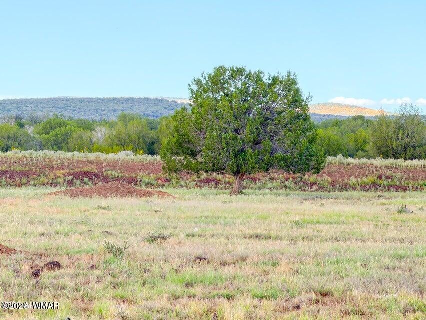 215 Gleed Station Road Ash Fork, AZ 86320 - Photo 18 of 21 Gallery Image 18