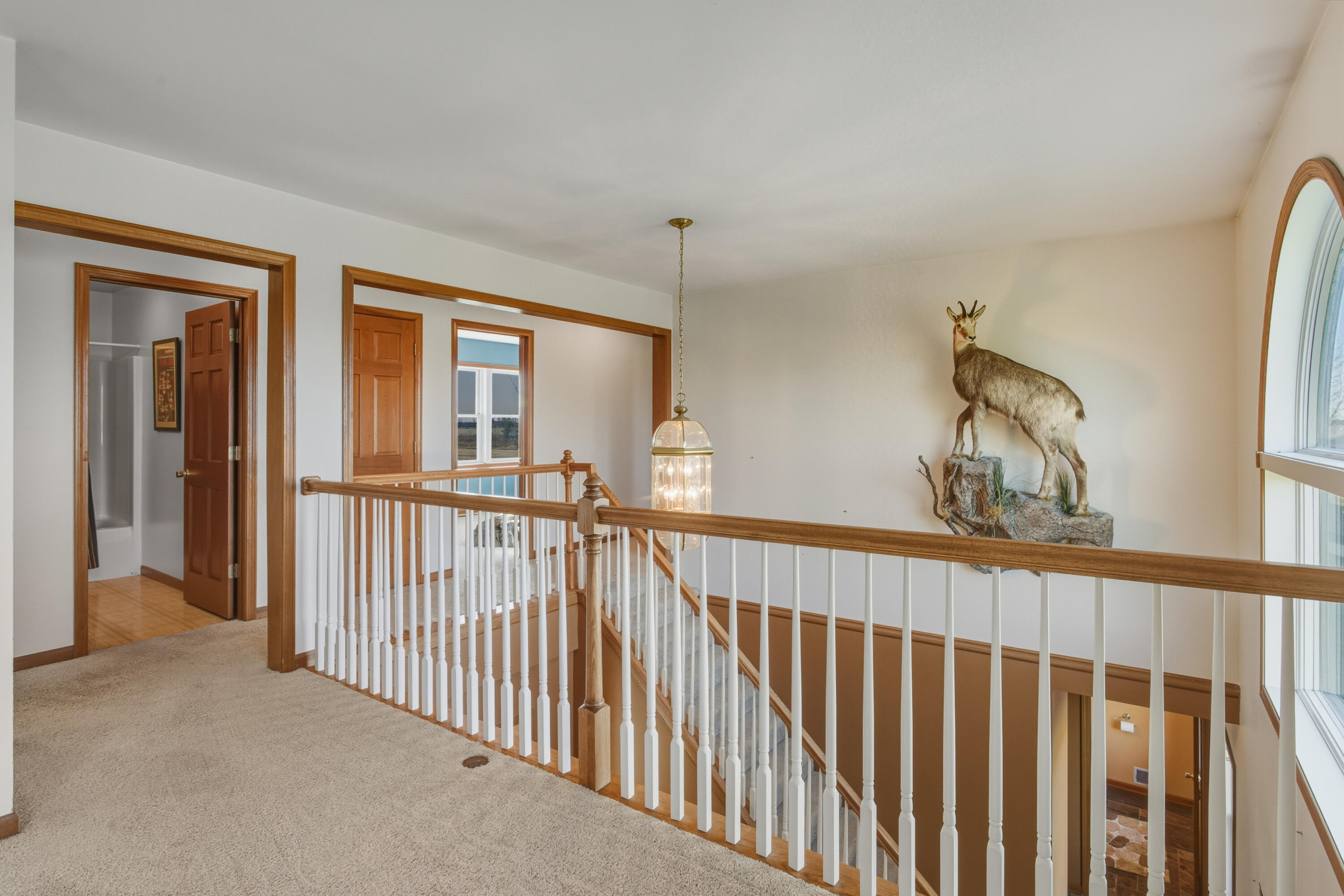 9227 Yager Road Columbus, MI 48063 - Photo 35 of 80 IMG_5325
