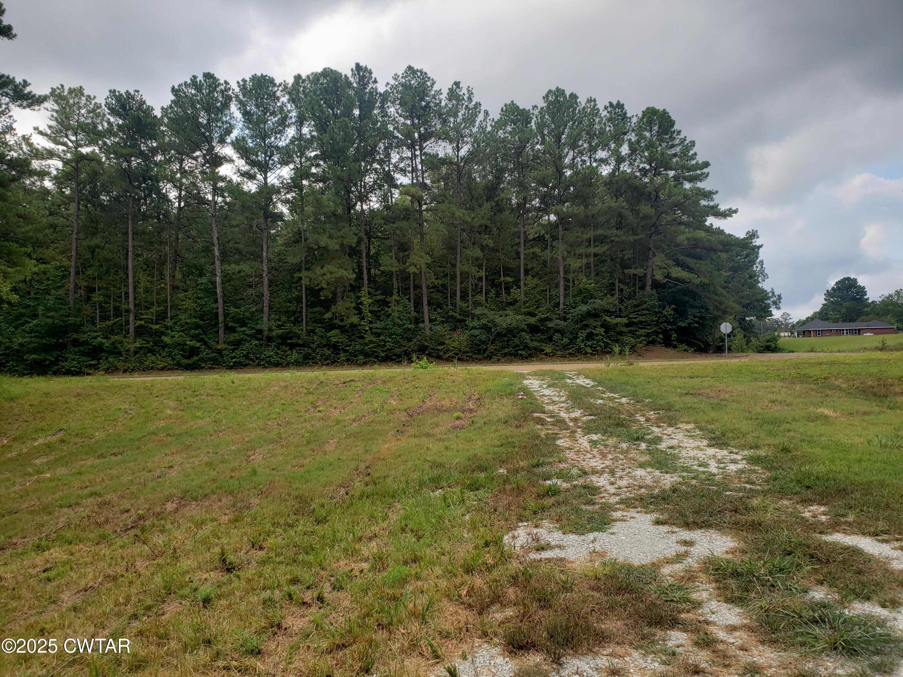 11325 Highway 100 Toone, TN 38381 - Photo 3 of 12 a view of a yard with a tree
