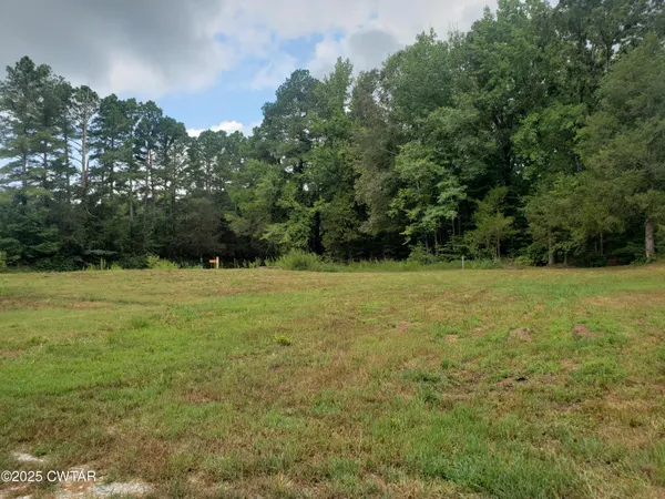 a view of green field with trees in the background