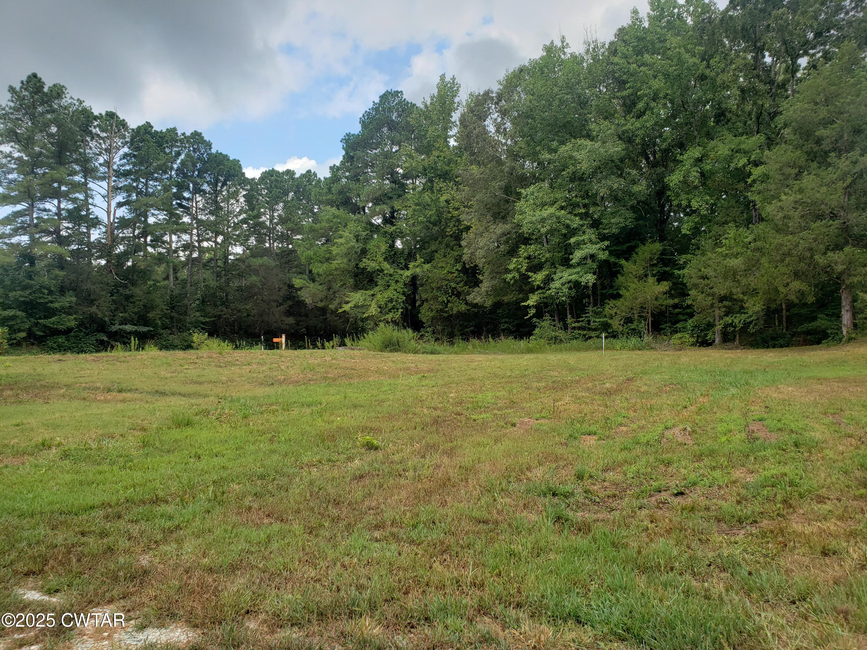 11325 Highway 100 Toone, TN 38381 - Photo 9 of 12 a view of green field with trees in the background