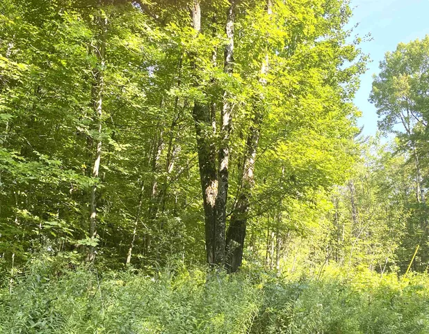 $200,000 | 0 North Branch Road, Ripton, VT 05766