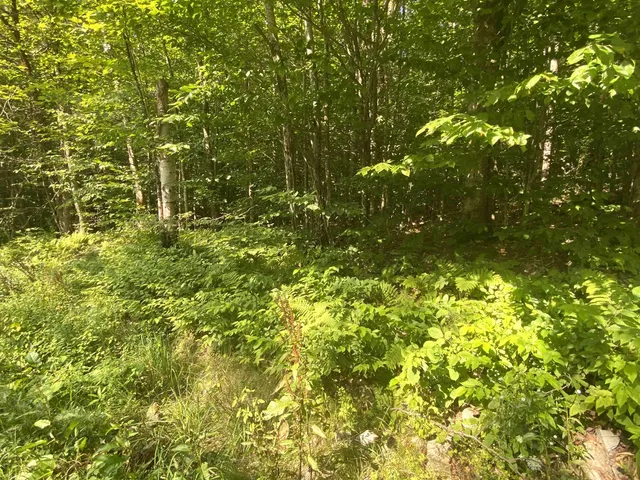 $200,000 | 0 North Branch Road, Ripton, VT 05766