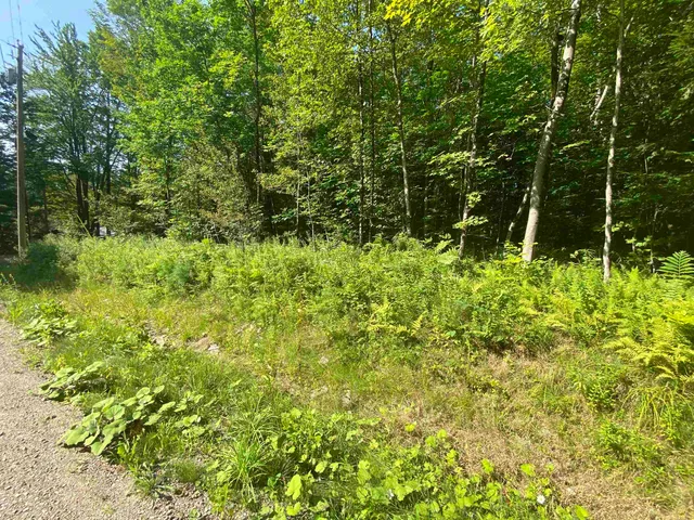 $200,000 | 0 North Branch Road, Ripton, VT 05766