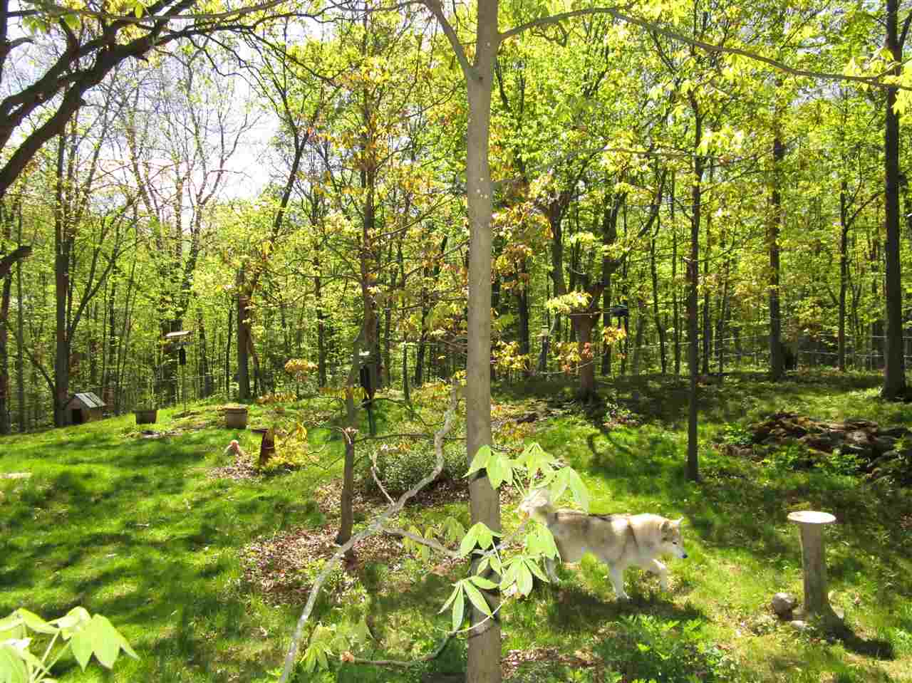 520 Tottingham Road Shoreham, VT 05770 - Photo 30 of 33