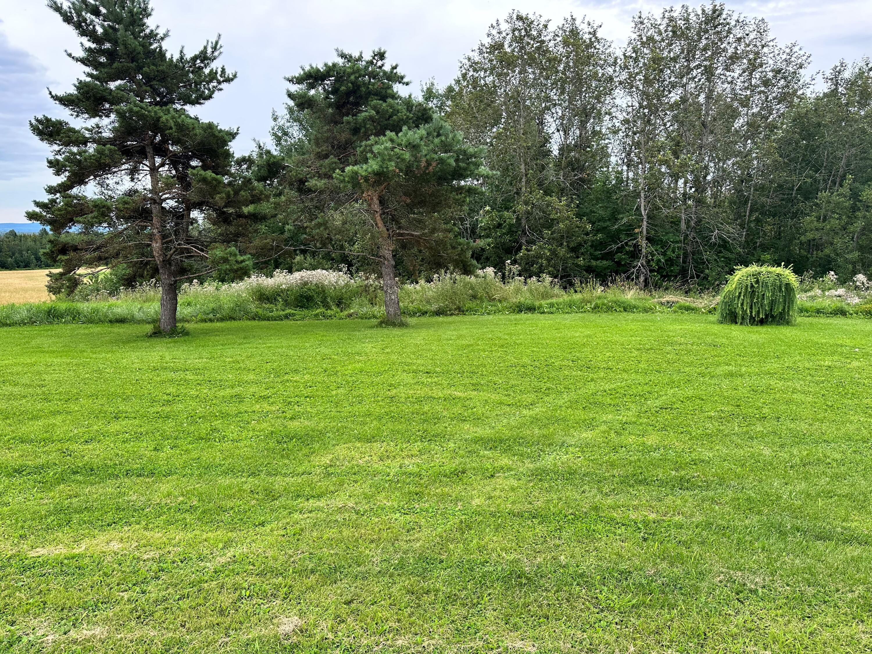 118 Haystack Road Castle Hill, ME 04757 - Photo 12 of 40 Haystack Side Yard