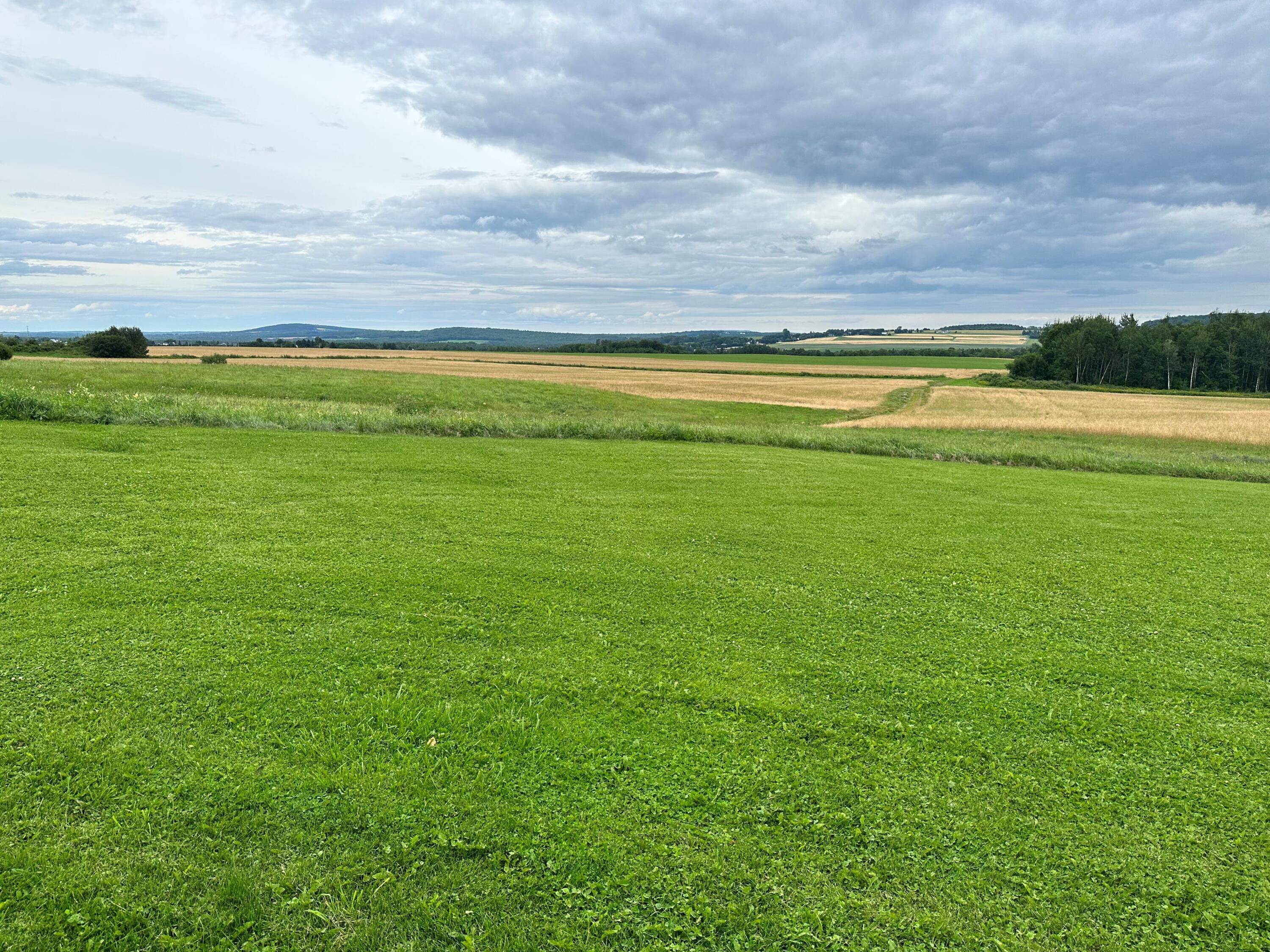 118 Haystack Road Castle Hill, ME 04757 - Photo 13 of 40 Haystack View From Back of Home