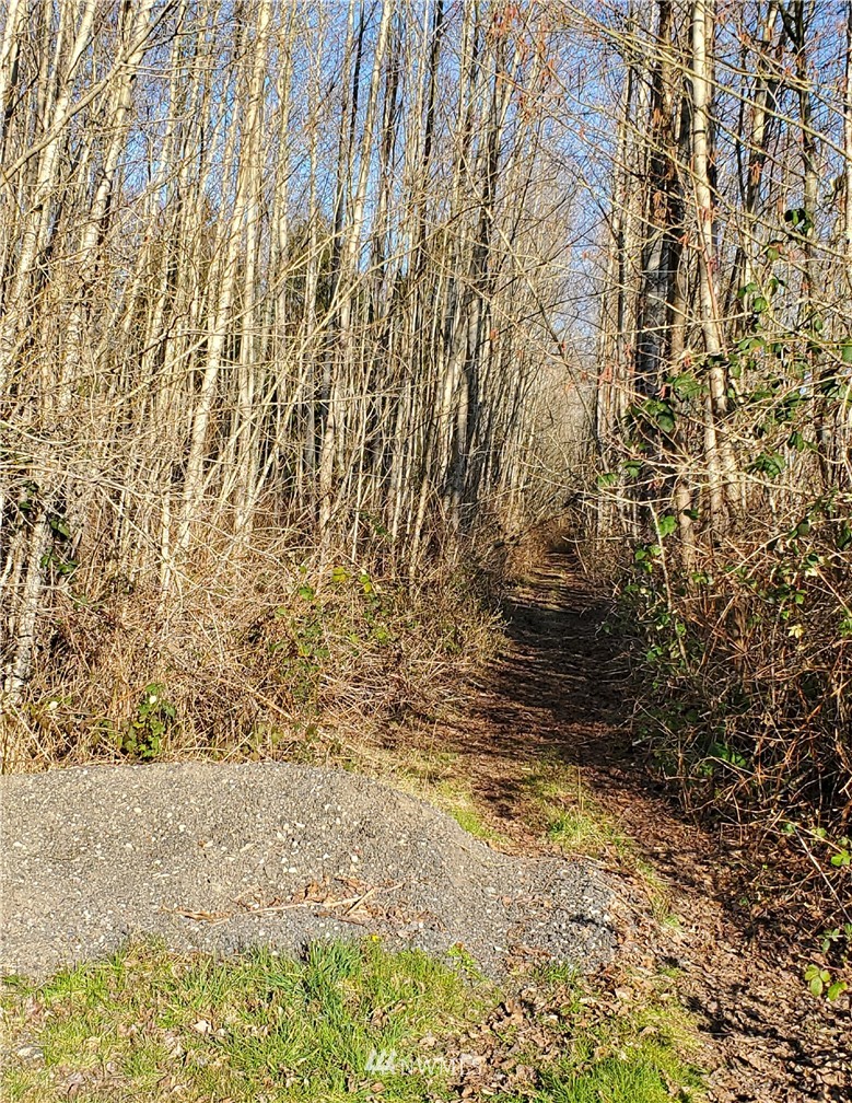 0 North Starbird Road Mount Vernon, WA 98274 - Photo 1 of 3 Gallery Image 1