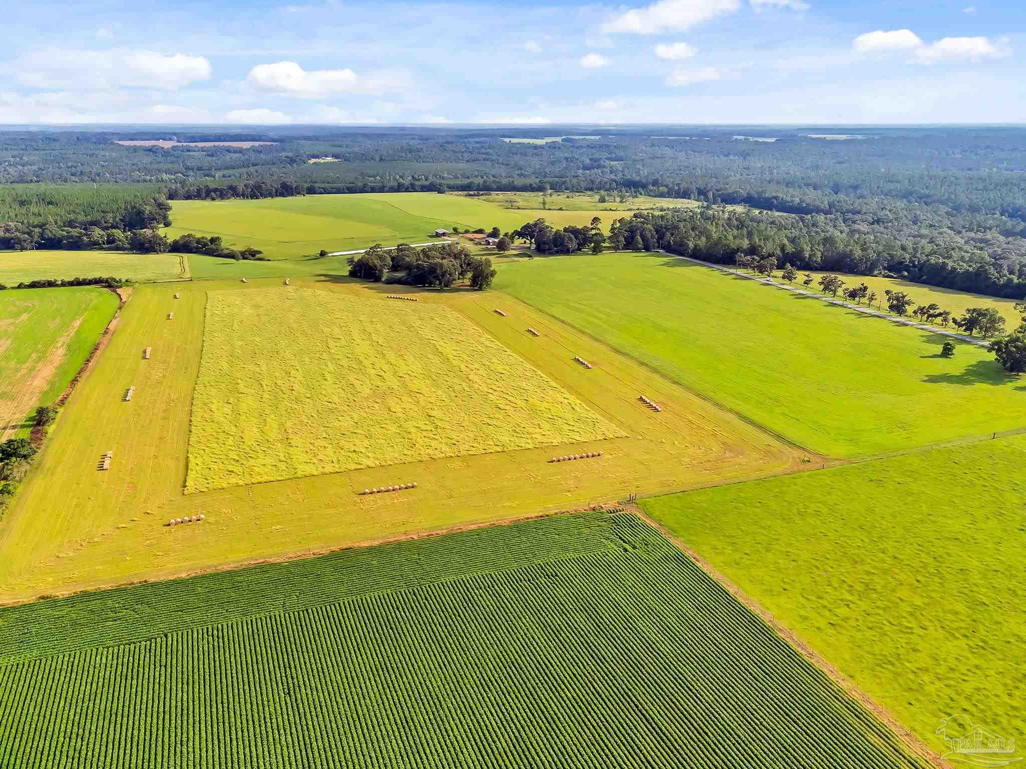 0 Jack Smith Road Century, FL 32535 - Photo 11 of 22 a view of an outdoor space and a lake view