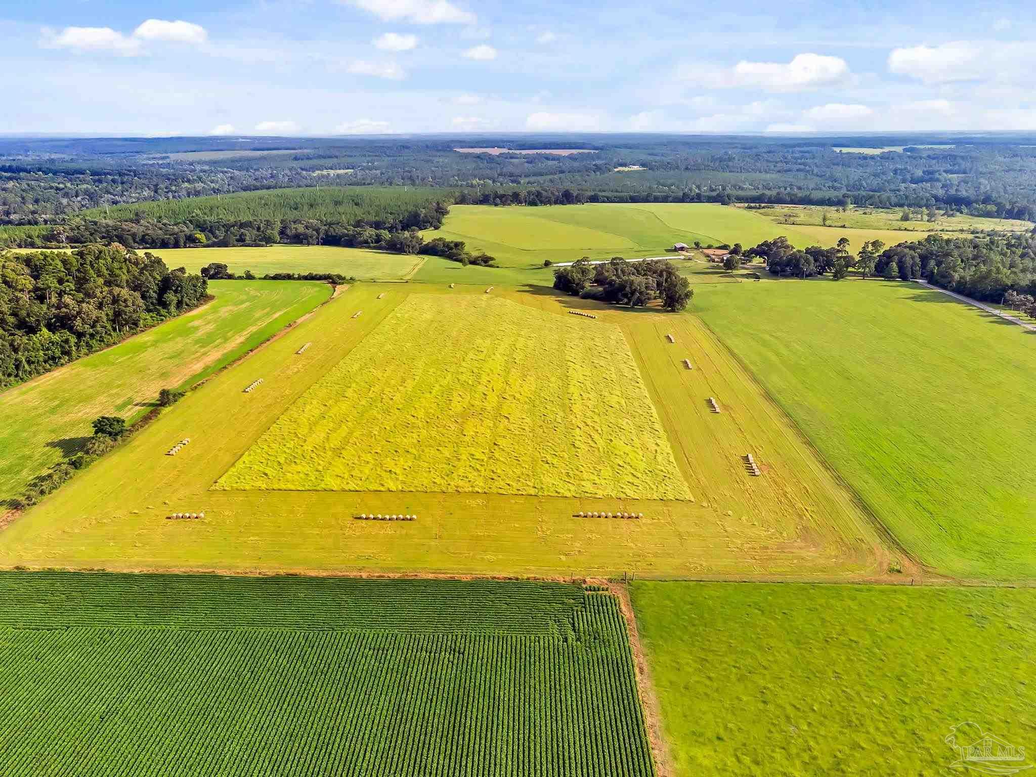 0 Jack Smith Road Century, FL 32535 - Photo 12 of 22 a view of an swimming pool and a mountain