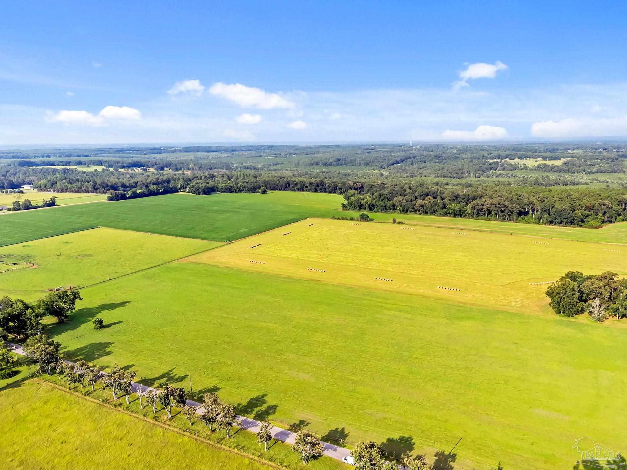 0 Jack Smith Road Century, FL 32535 - Photo 18 of 22