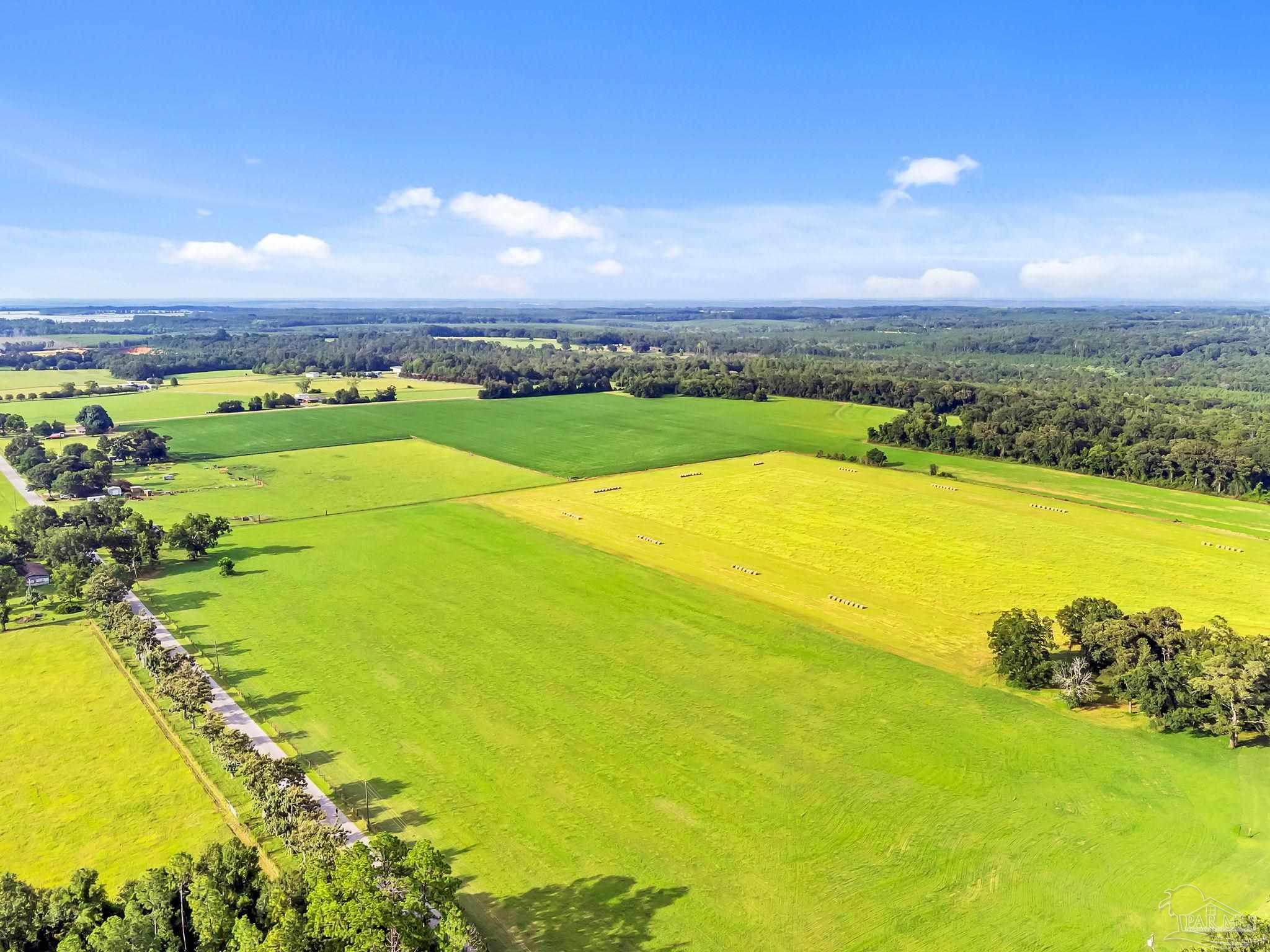 0 Jack Smith Road Century, FL 32535 - Photo 19 of 22