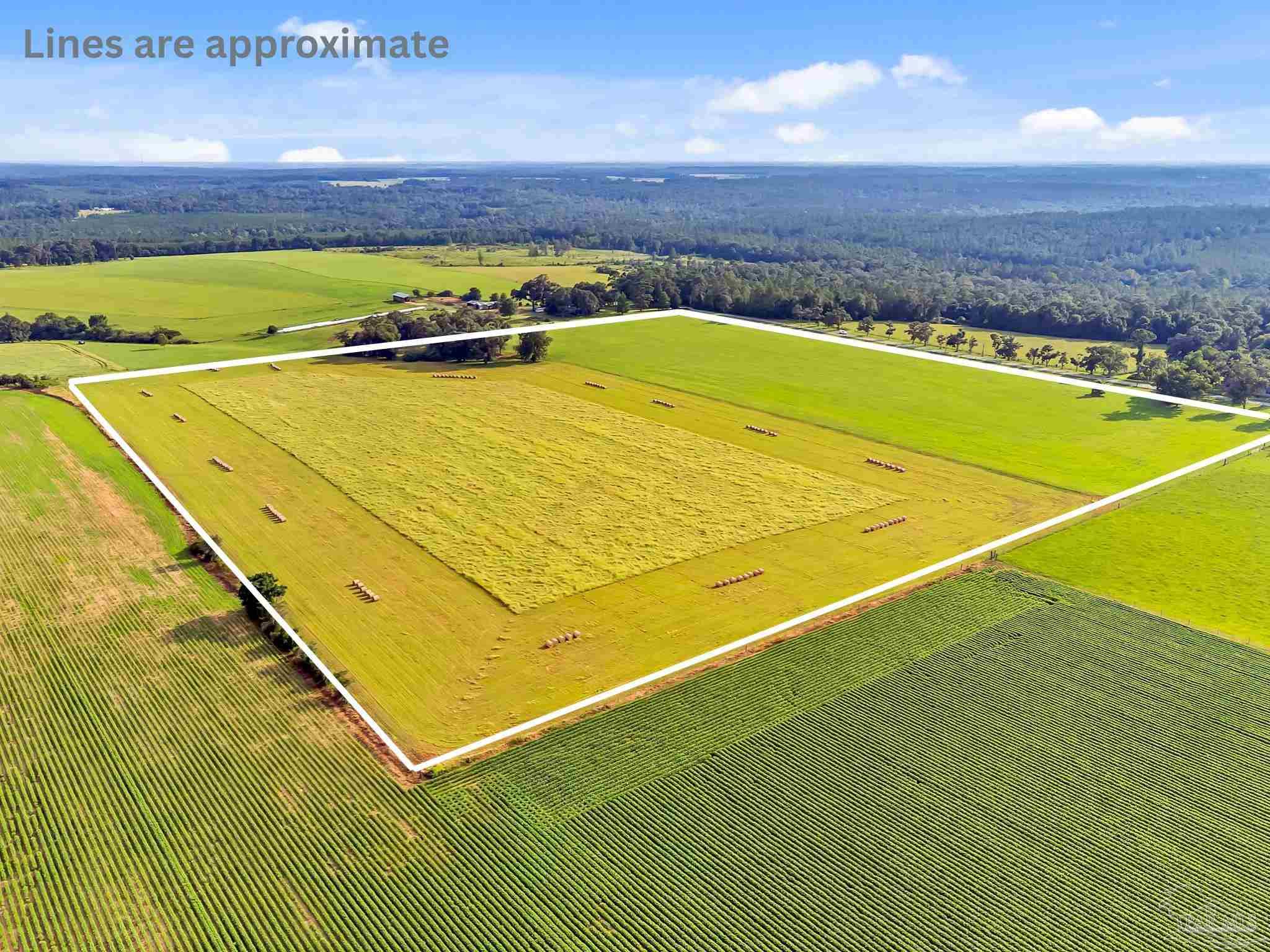 0 Jack Smith Road Century, FL 32535 - Photo 2 of 22 a view of swimming pool