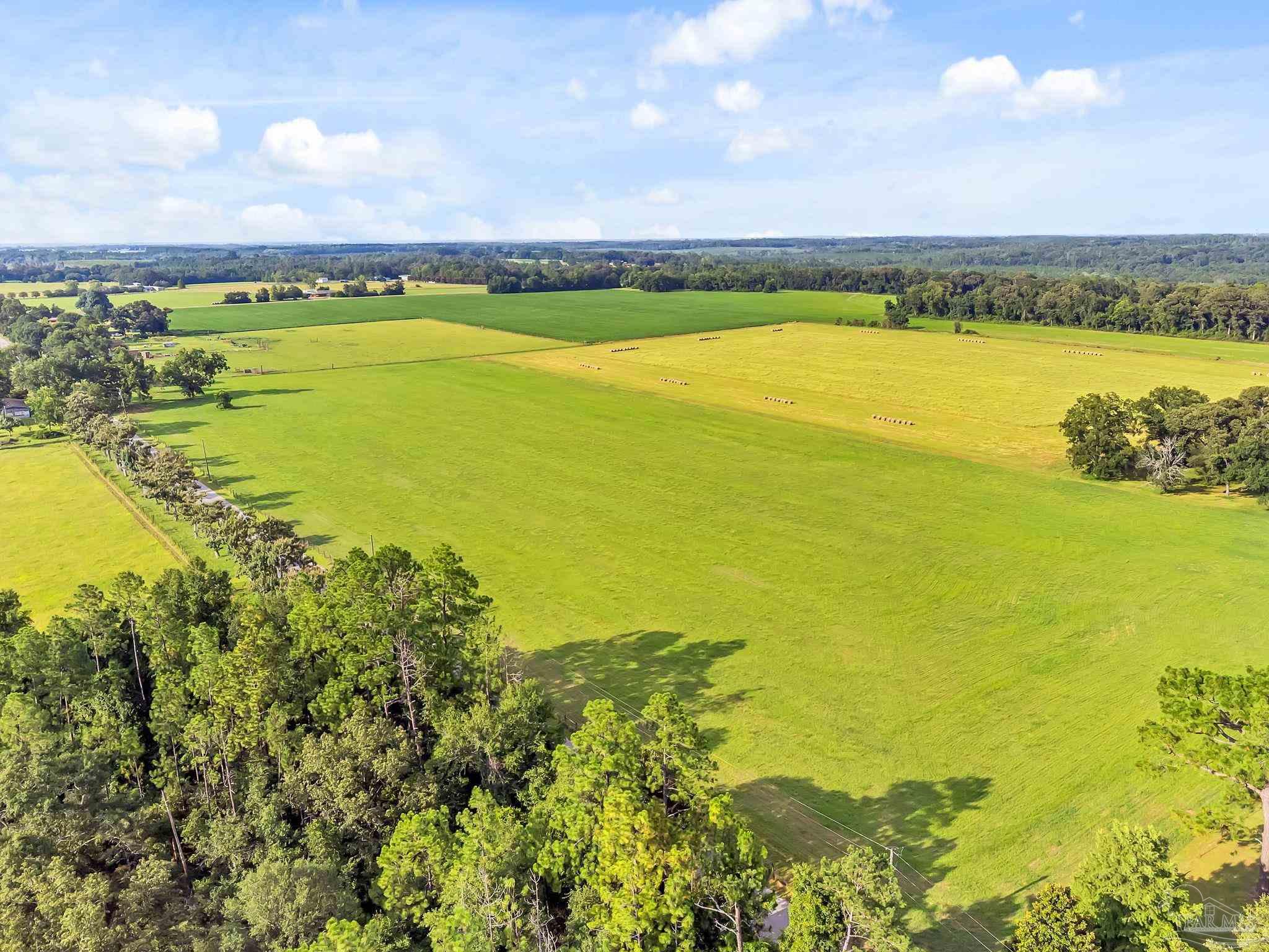 0 Jack Smith Road Century, FL 32535 - Photo 22 of 22 a view of an ocean and a mountain