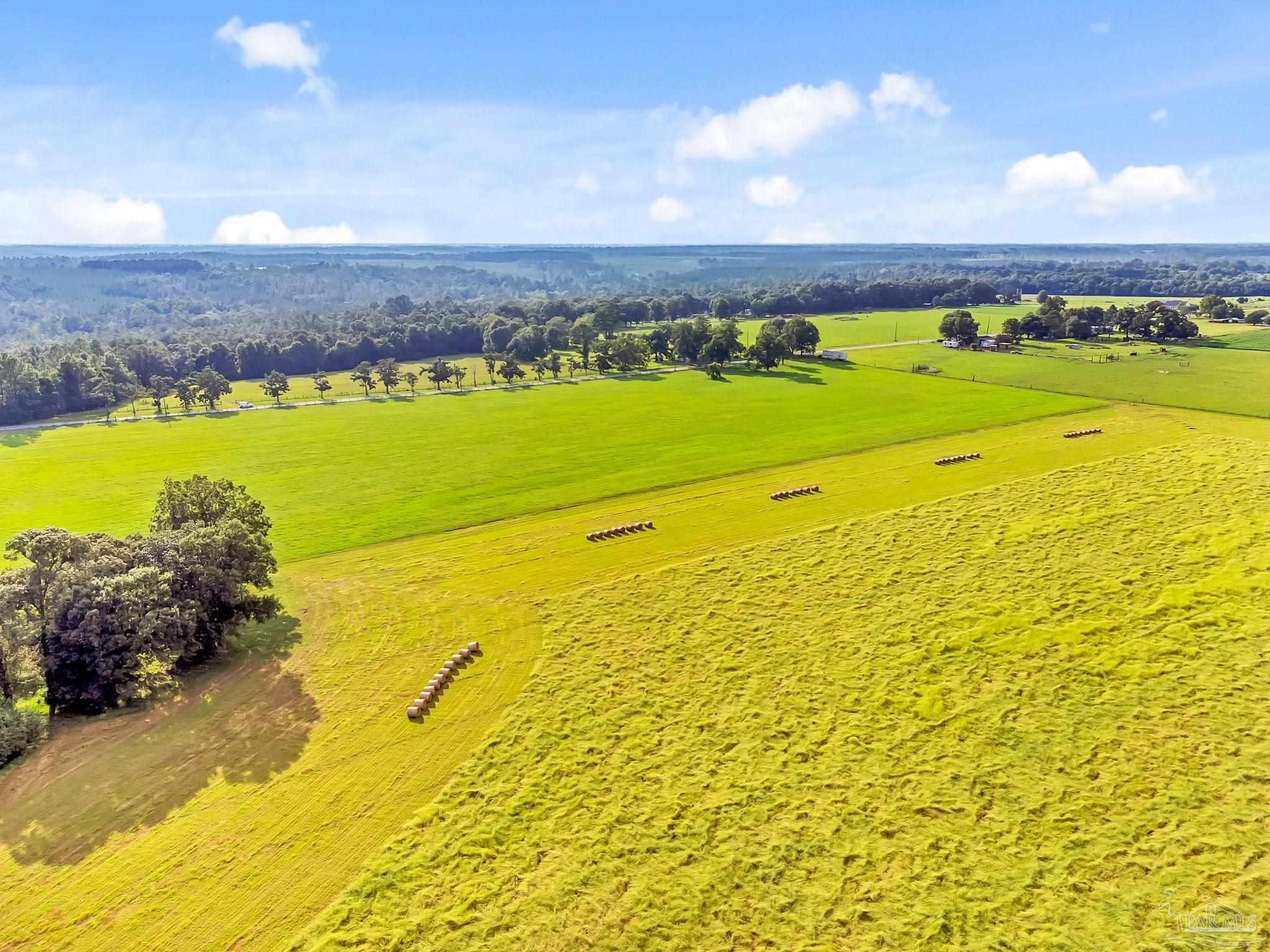 0 Jack Smith Road Century, FL 32535 - Photo 8 of 22 a view of an ocean