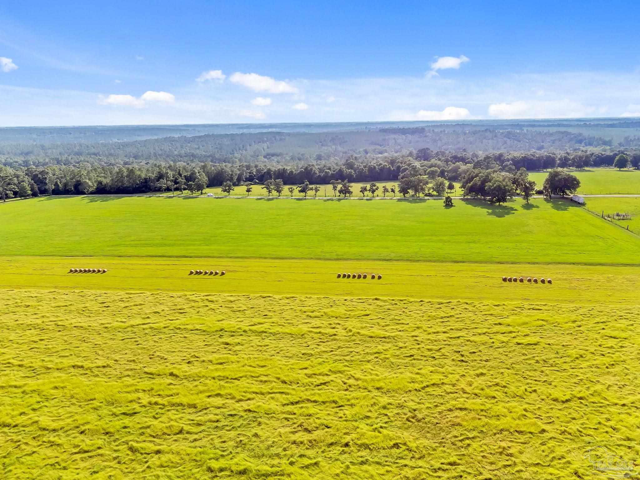 0 Jack Smith Road Century, FL 32535 - Photo 9 of 22 a view of an ocean from a city