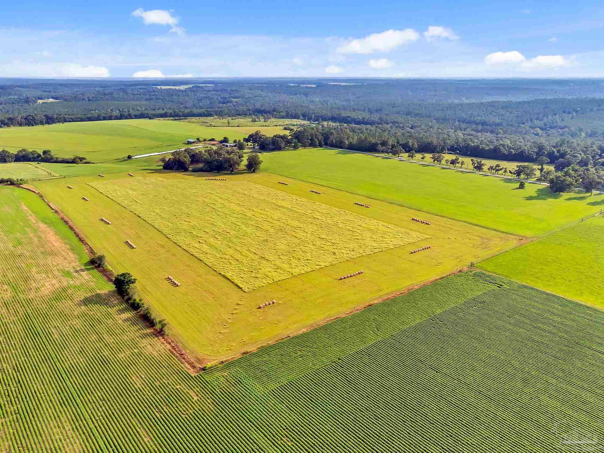 0 Jack Smith Road Century, FL 32535 - Photo 10 of 22 a view of an outdoor space and a lake view