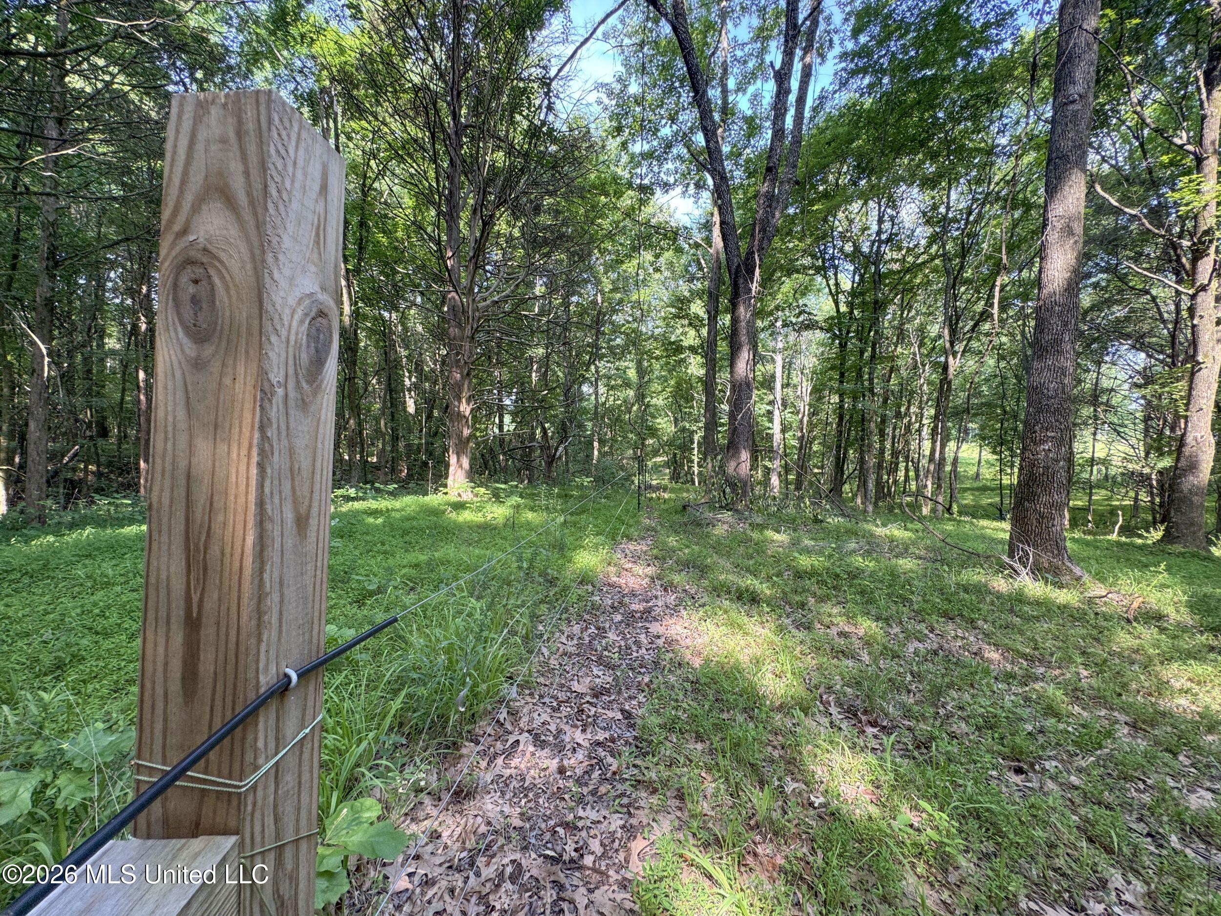 2169 Slocum Road Hernando, MS 38632 - Photo 71 of 94 8slcm30