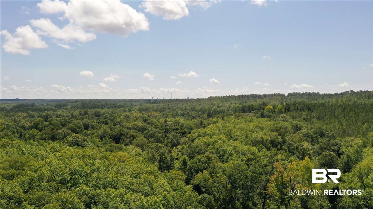 0 Highway 4 Jay, FL 32565 - Photo 43 of 50