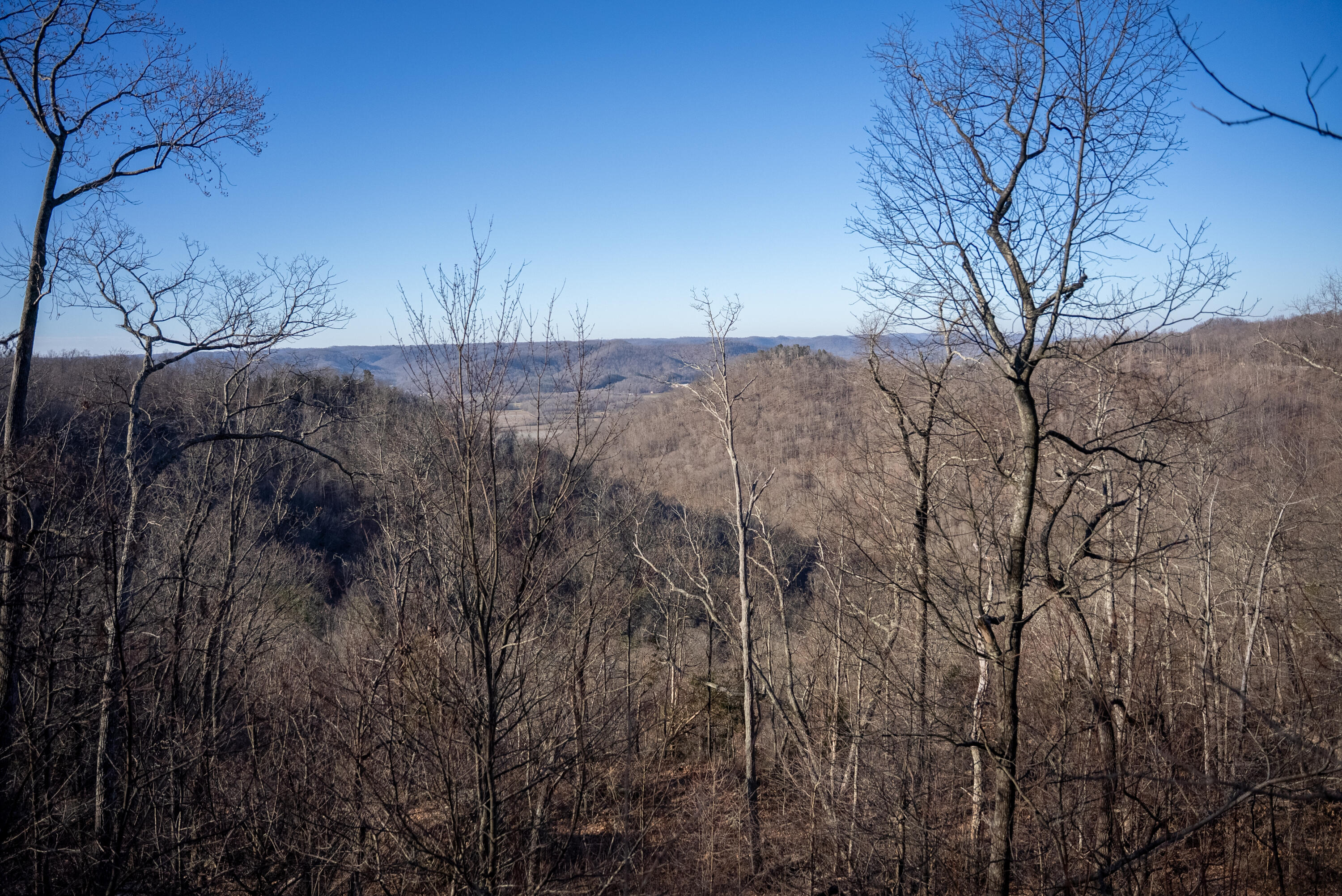 9999 North Bend Road Stanton, KY 40380 - Photo 13 of 84 013