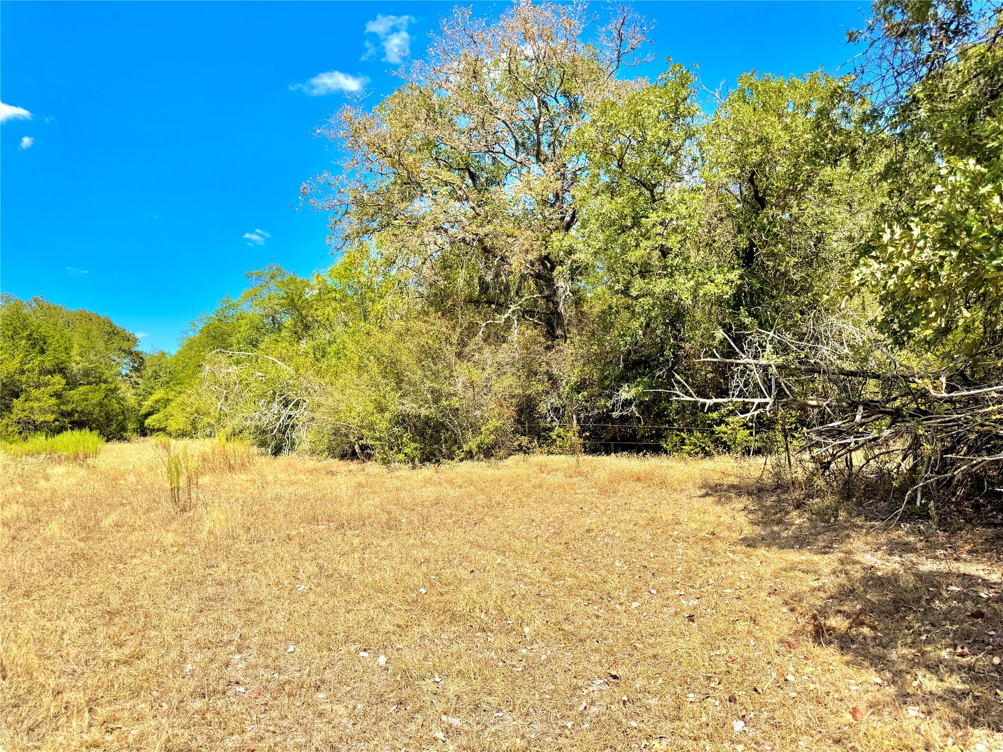 Tbd 50.62-acres Tbd 50.62-acres Rabel Road Rosanky, TX 78953 - Photo 15 of 23 View of yard featuring a wooded view