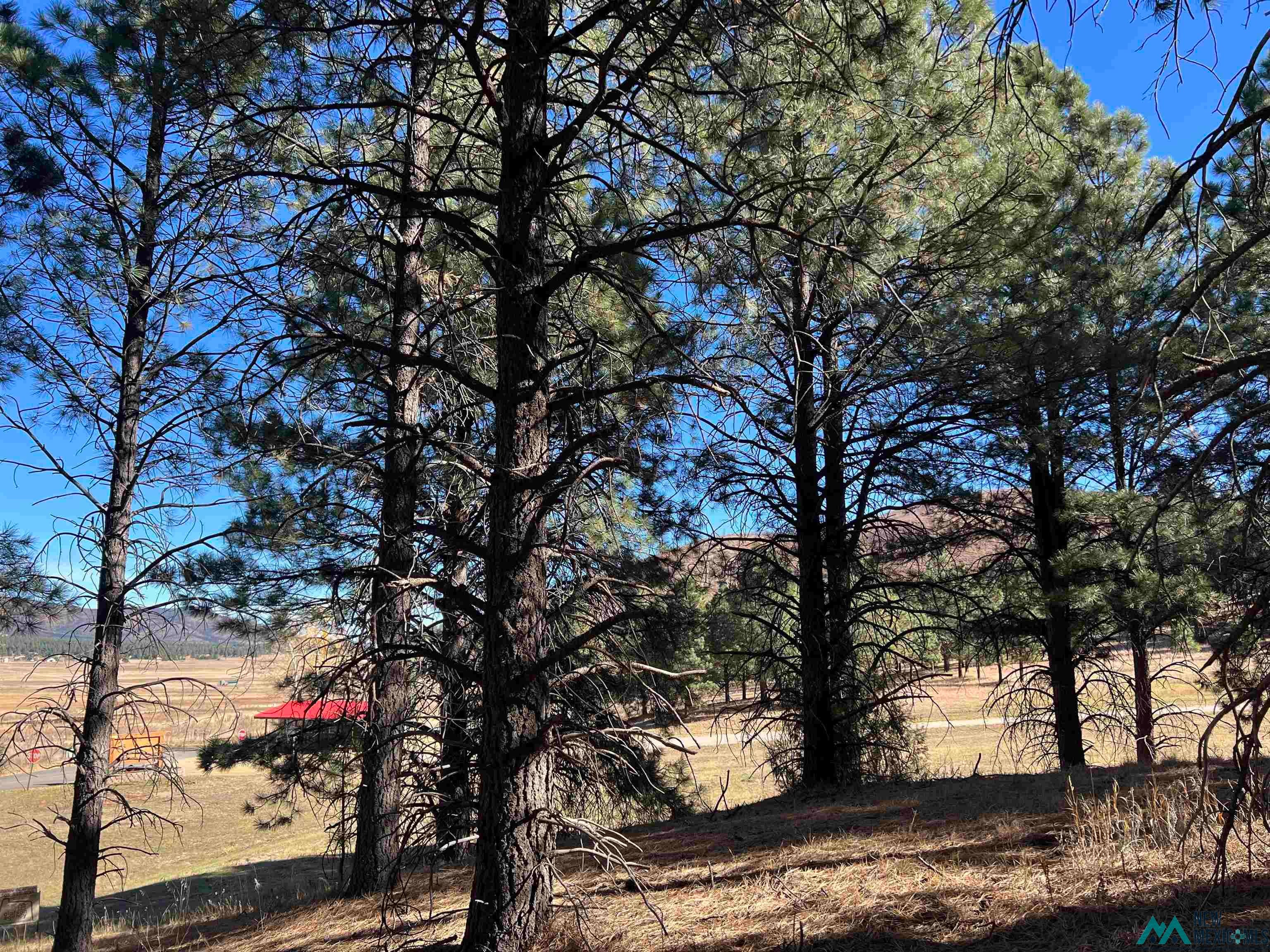 1-2 Chapel Road Rociada, NM 87742 - Photo 6 of 9