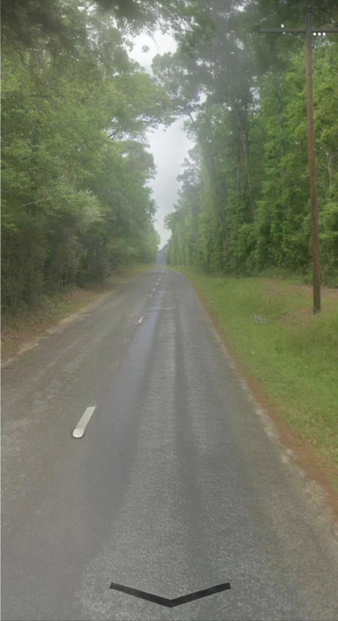 a view of a yard