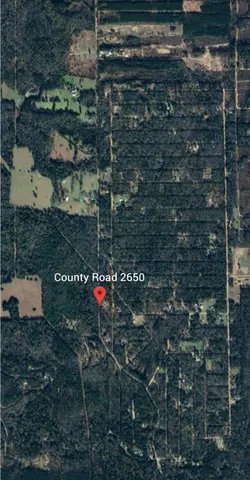 $150,000 | 0 County Road 2650, Cleveland, TX 77327