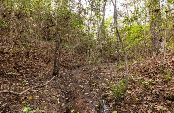 $150,000 | 0 County Road 2650, Cleveland, TX 77327