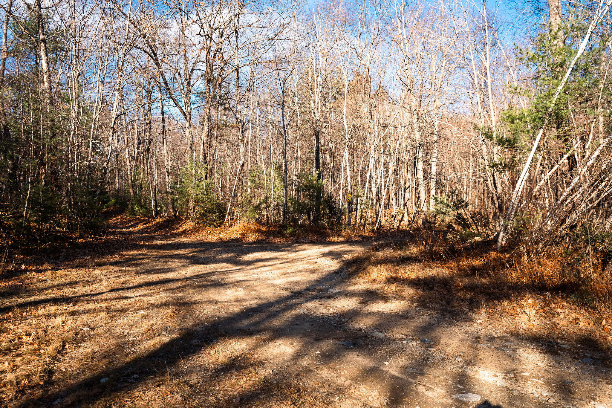 5 Map Buckfield, ME 04220 - Photo 10 of 13 Mcalister Rd