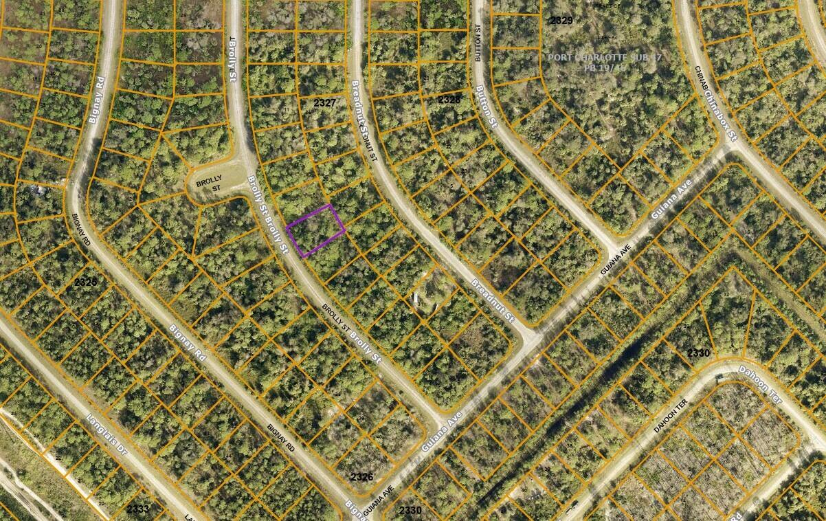 0 Brolly Street North Port, FL 34288 - Photo 6 of 6 BROLLY ST
