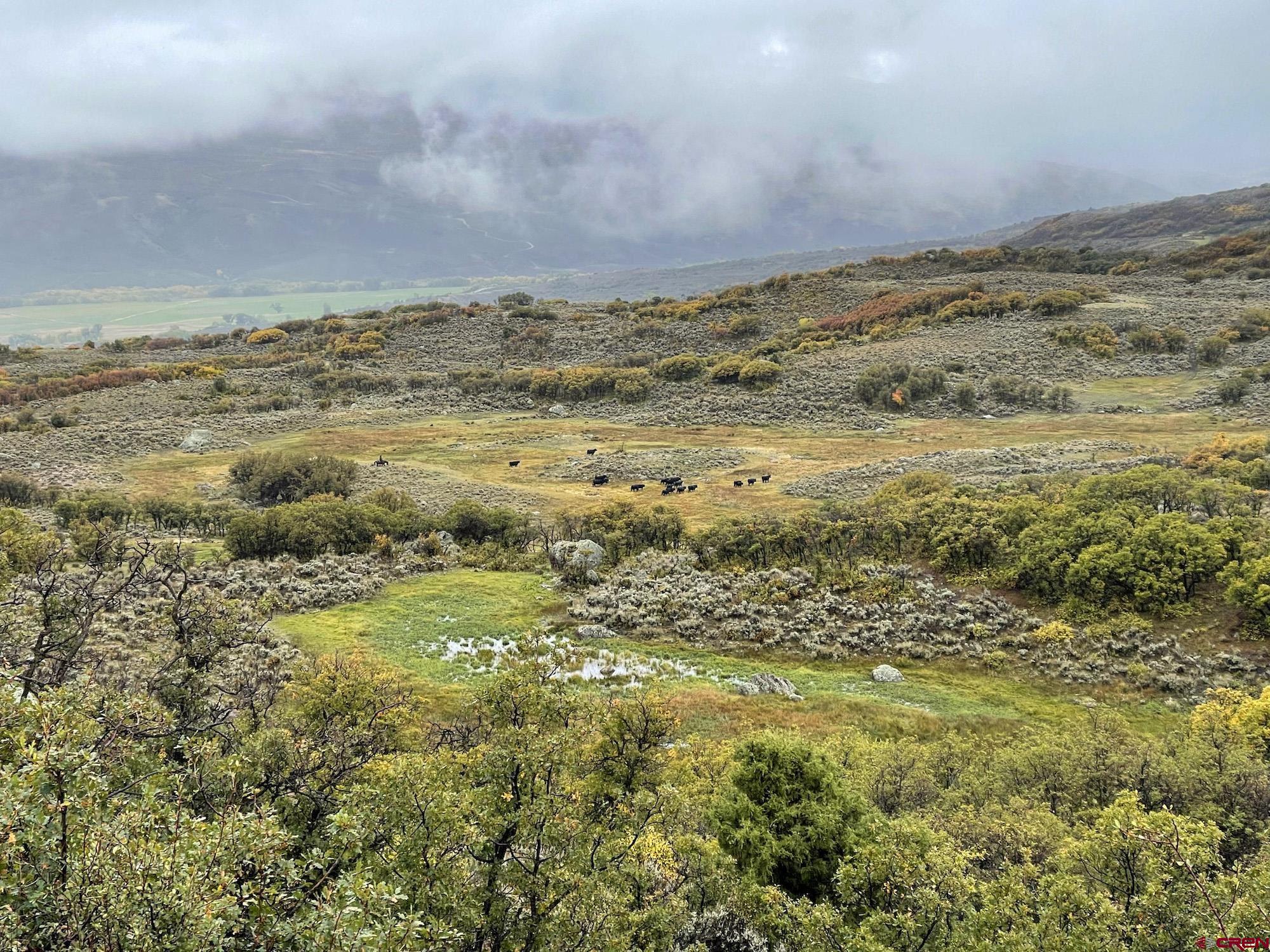 22000 P77 Road Cimarron, CO 81220 - Photo 18 of 37